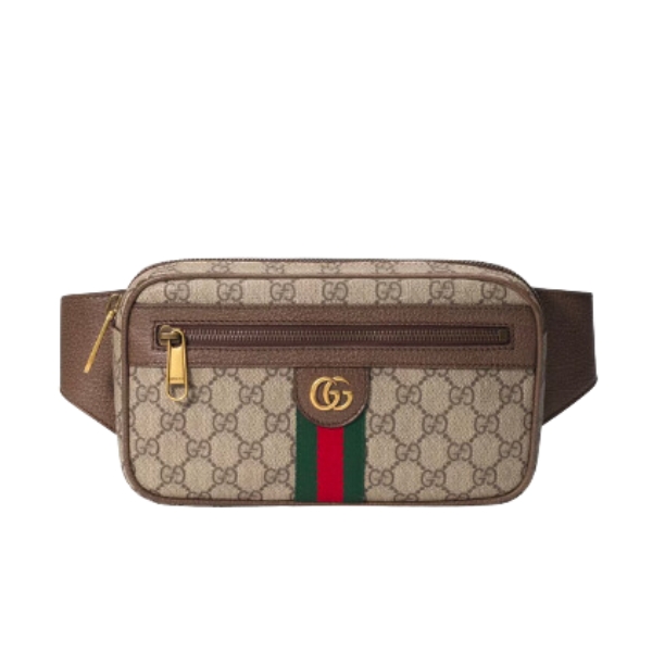 GUCCI GG OPHIDIA BELT BROWN BAG 24CM 574796 97SIT 8747