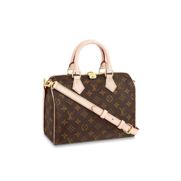 LOUIS VUITTON SPEEDY BANDOULIÈRE  25 M41113