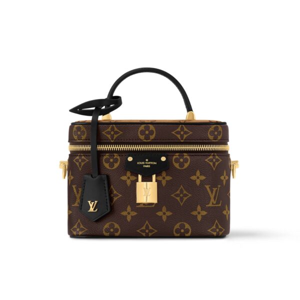 LOUIS VUITTON VANITY CHAIN POUCH MONOGRAM REVERSE BROWN 19CM